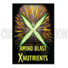 Amino Blast quart, X Nutrients
