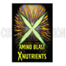 Amino Blast quart, X Nutrients