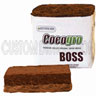 8 inch Cocogro Boss, Botanicare