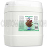 Seachem Flourish Iron 20L (5.3 gal)