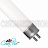 24 in. 50/50 White Ho T5 Bulb (24 watt), Coral Vue