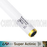 24 in T12 Super Actinic Bulb 75 watt, URI/UV Lighting