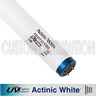 46.5 in T12 Actinic White Bulb 110 watt, URI/UV Lighting