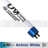 24 in T5 Actinic White Bulb 40 watt, URI/UV Lighting