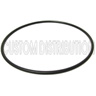 Sunami O-Ring for Pump Strainer Basket, Aqua UV