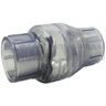 1/2 inch PVC Swing Check Valve FPT x FPT, Clear