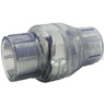 2 inch PVC Swing Check Valve FPT x FPT, Clear