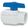 2-1/2 in. PVC Utility Ball Valve Soc